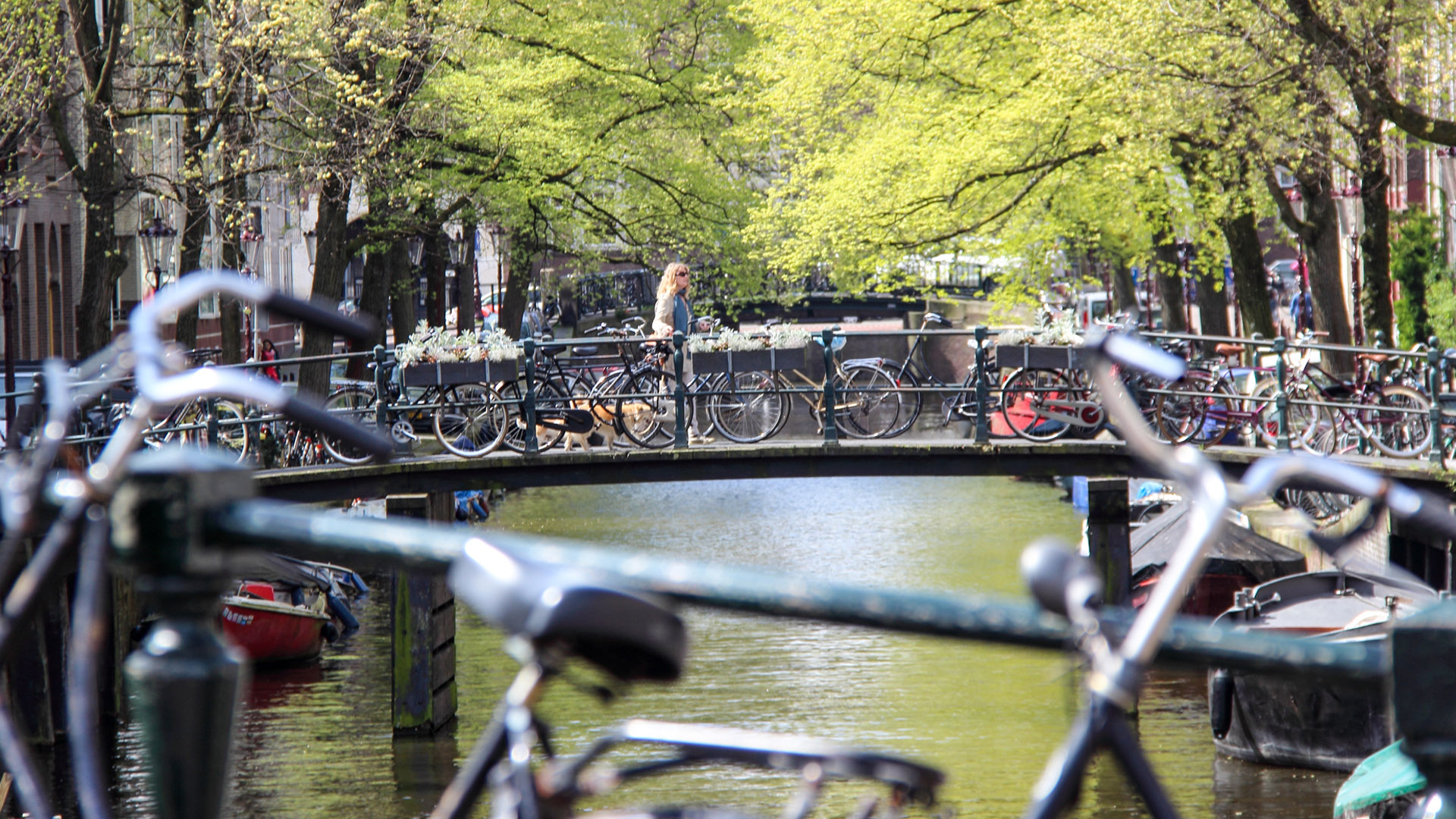 Amsterdã: Qual o melhor passe de transporte e como usar o tram 3