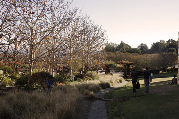 Getty Center