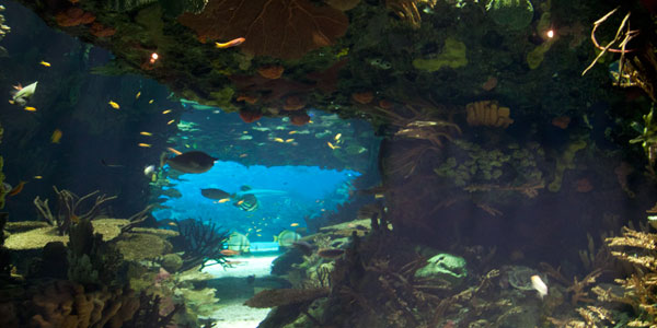 Oceanário de Lisboa