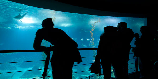 Oceanário de Lisboa