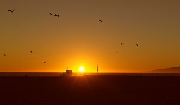 Venice Beach