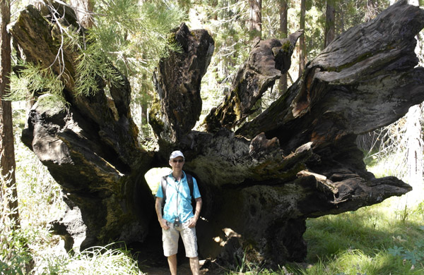 Yosemite Park