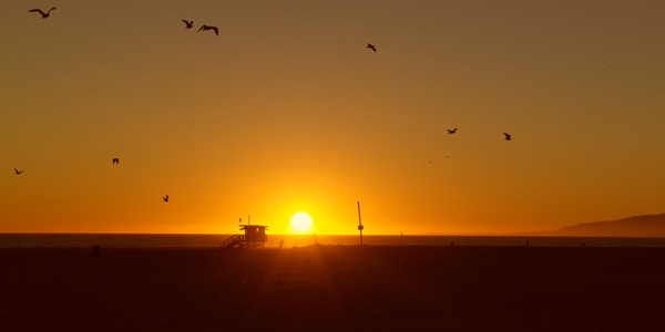 Venice Beach