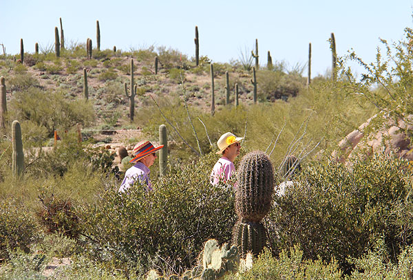 Arizona-Sonora Desert Museum