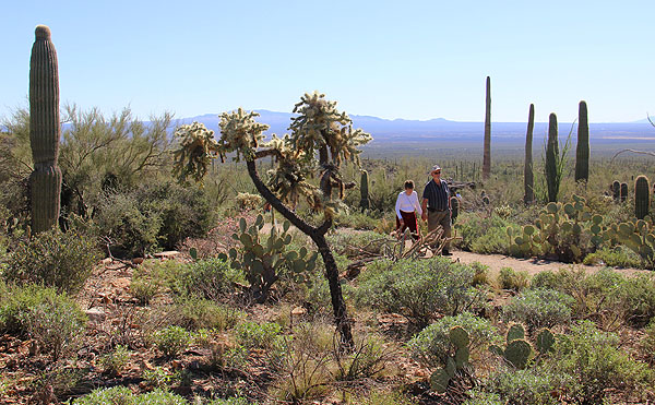 Arizona-Sonora Desert Museum