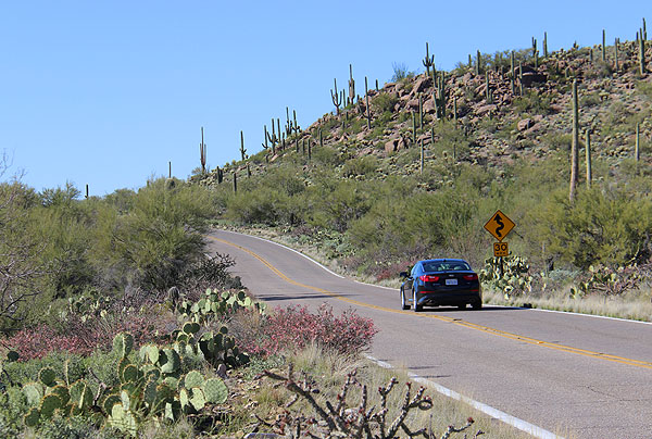 Estrada em Tucson