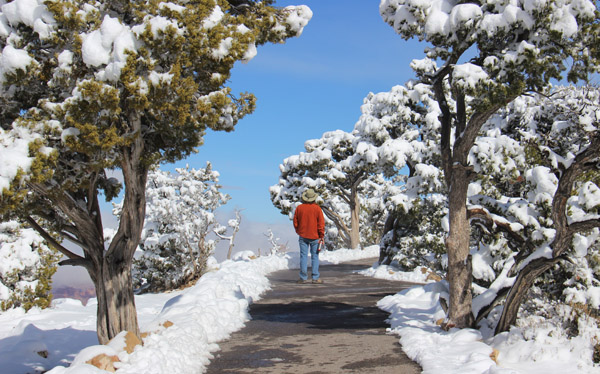 Rim Trail