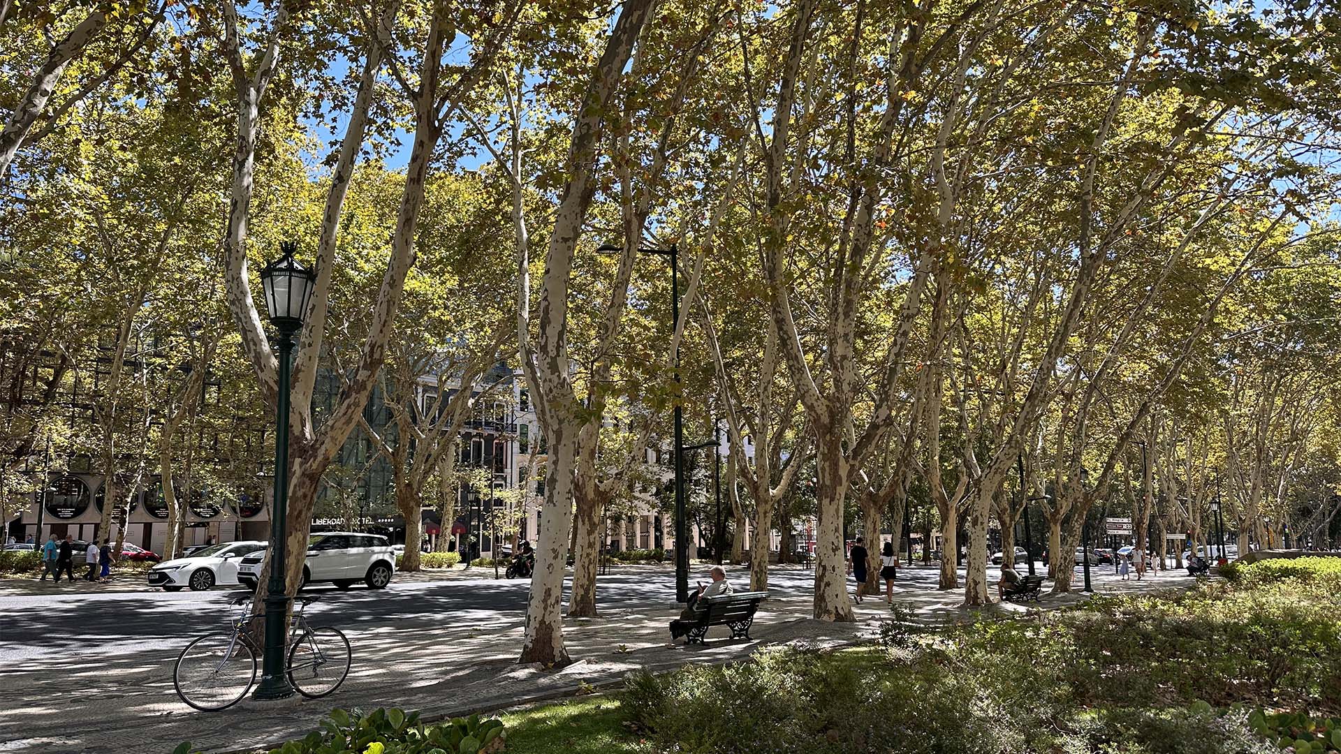O que fazer em Lisboa 15 O que fazer em Lisboa - Avenida da Liberdade
