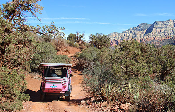 Broken Arrow Pink Jeep Tour