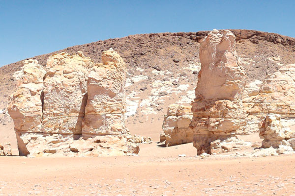 Monjes de la Pacana