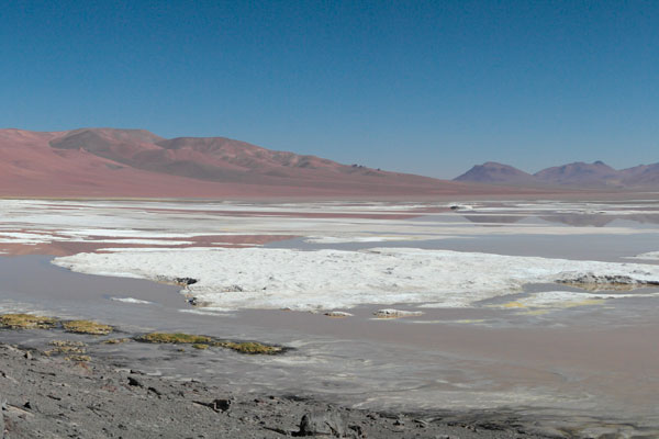 Salar de Tara