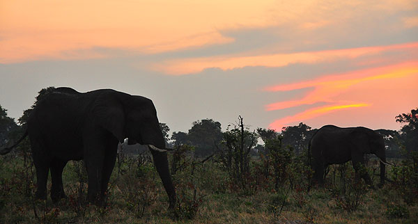 Macatoo Lodge