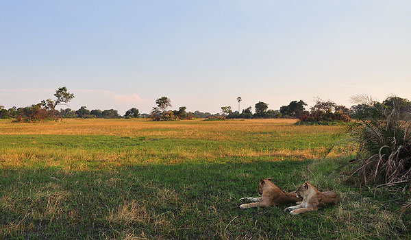 Macatoo Lodge