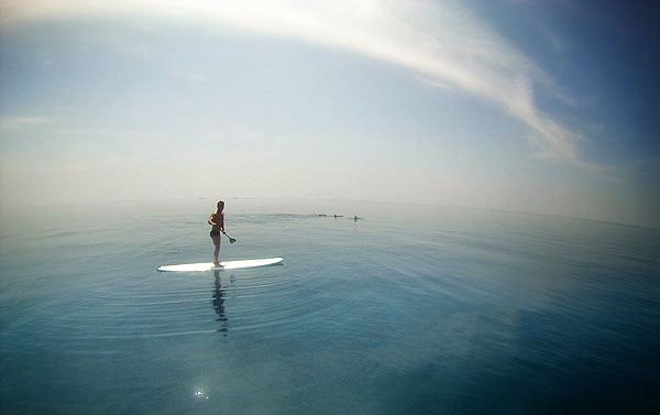 Stand-up paddle