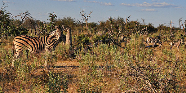 Botswana