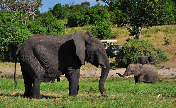 Chobe Park