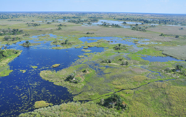 Delta do Okavango