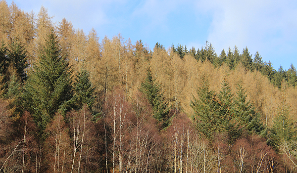 Trossachs National Park