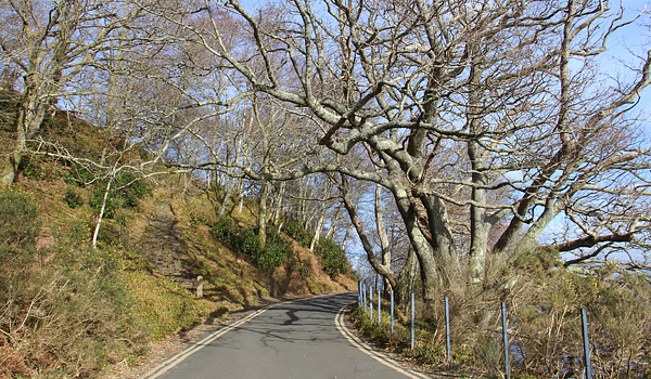 Trossachs National Park