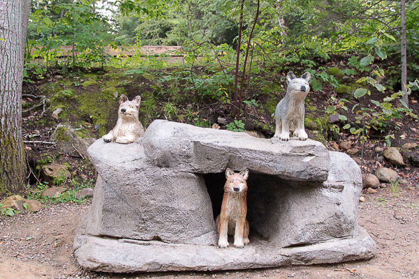 Estátuas de lobinhos no Canyon Ste-Anne