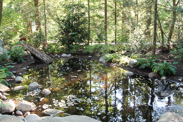 Lago e flora da Capilano Suspension Bridge