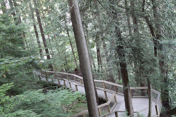 Os muitos caminhos para se conhecer o Capilano Suspension Bridge