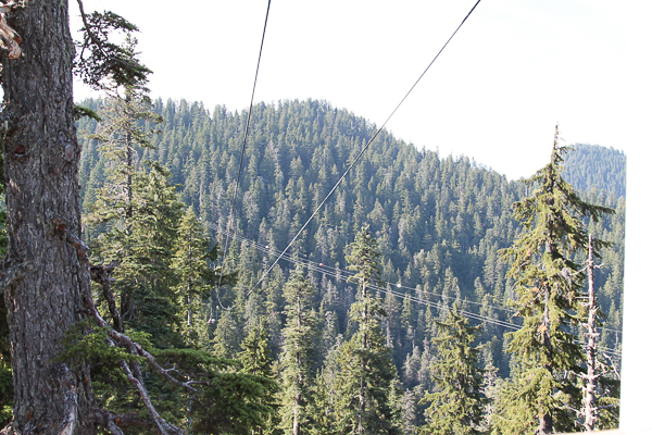 Duas linhas da tirolesa da Grouse Mountain