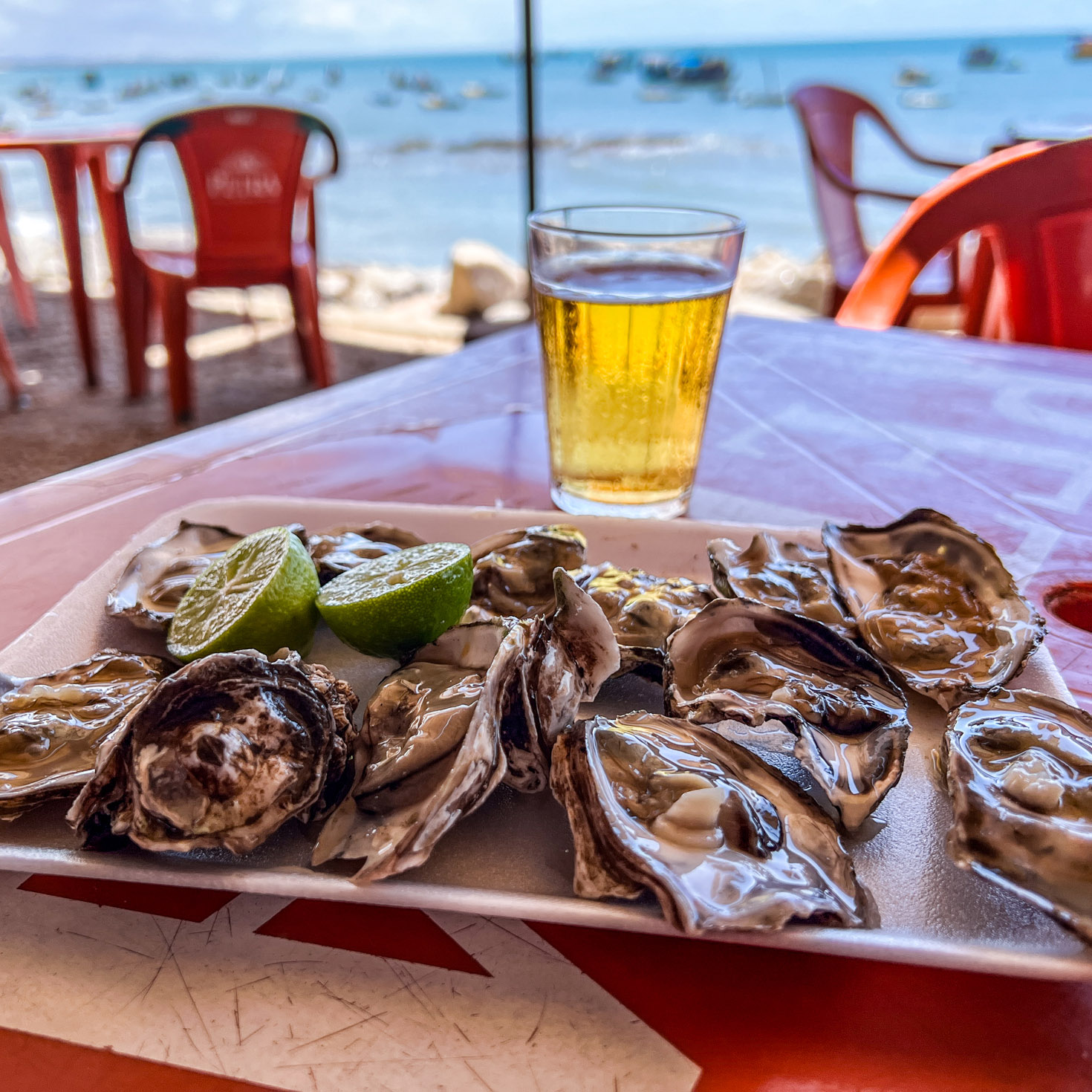 O que fazer em Fortaleza: Mercado dos Peixes