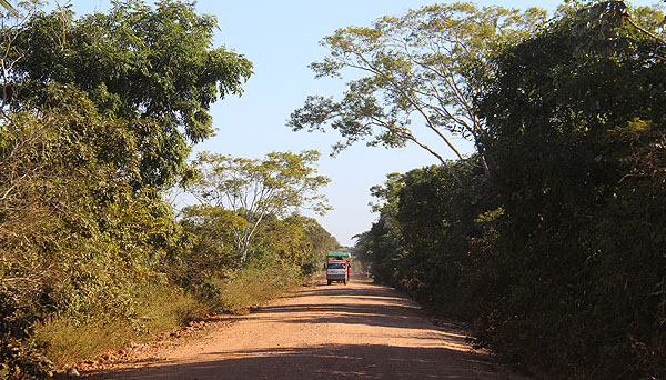 Estrada Parque