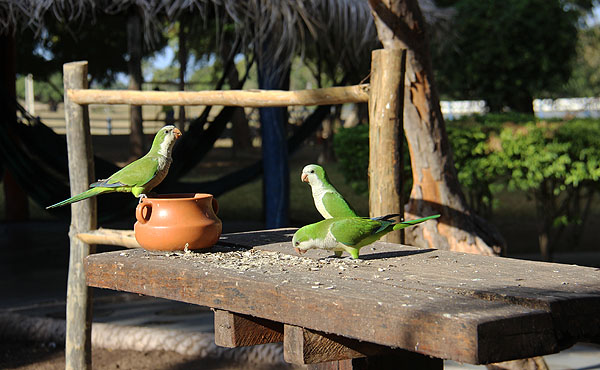 Pousada Santa Clara