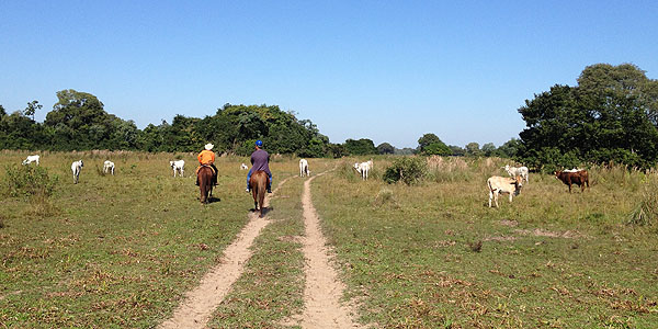 Fazenda São João