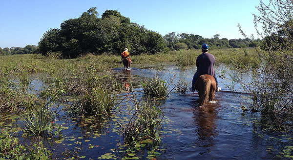 Pantanal: Corumbá