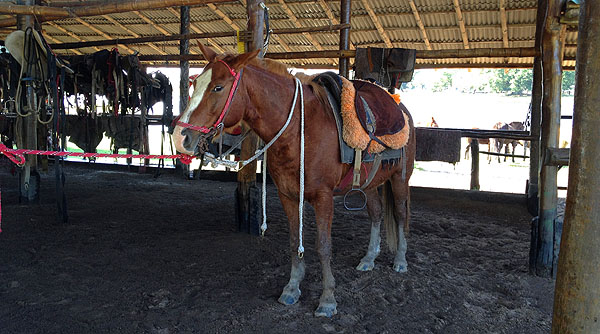 Fazenda São João