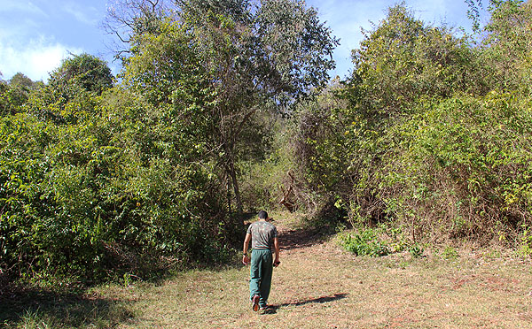 Trilha para a gruta Ricardo Franco