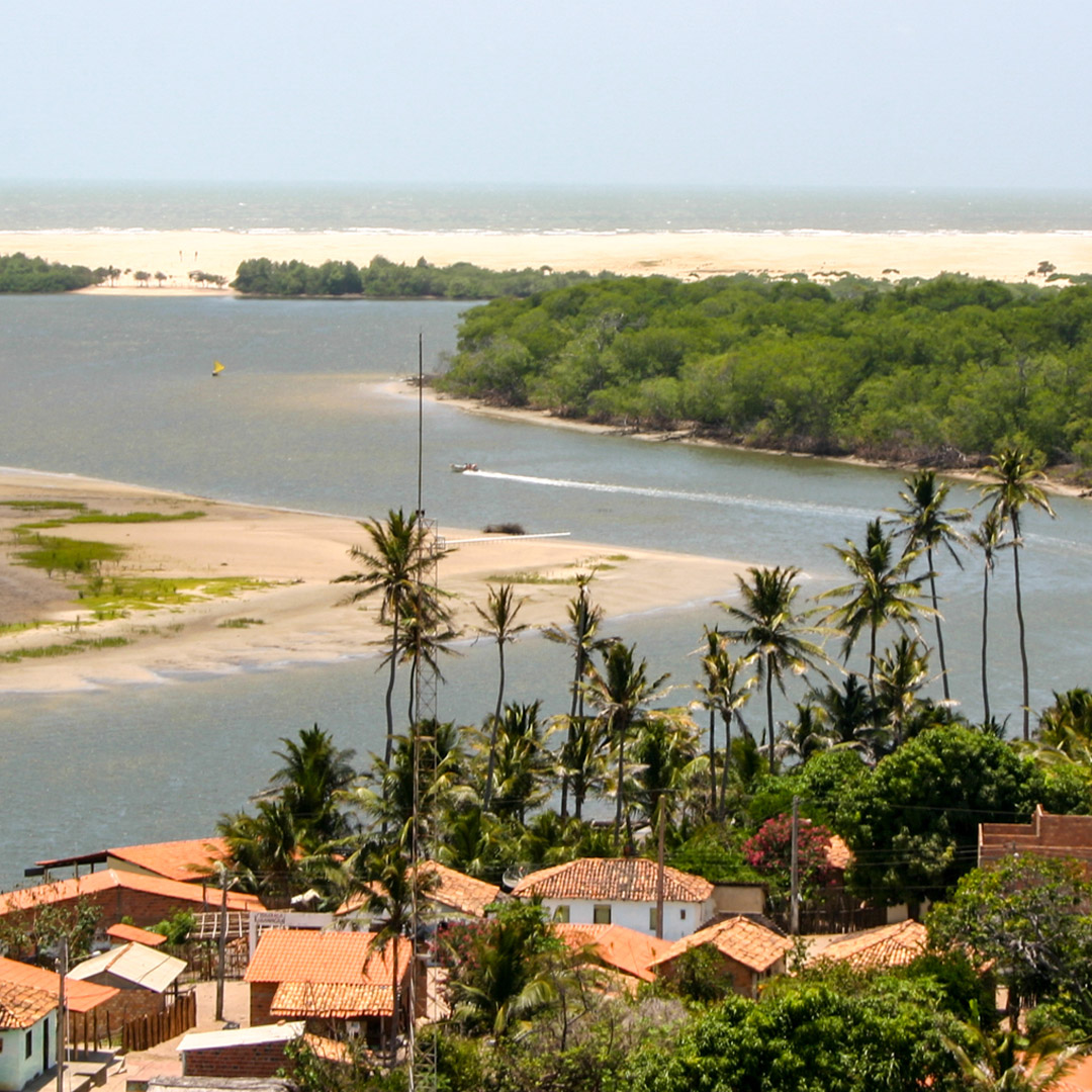 Passeio pelo Rio Preguiças: Mandacaru