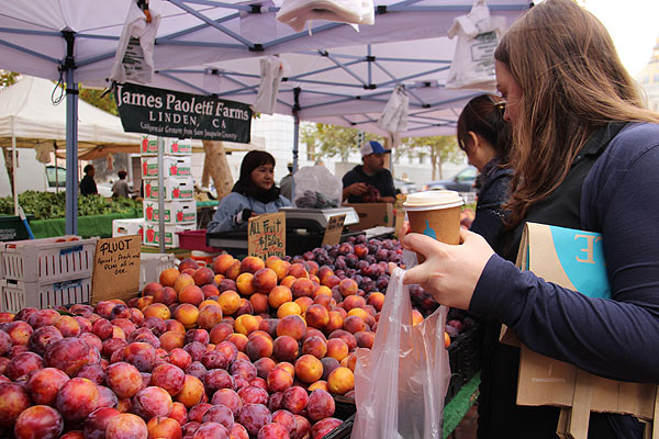 Heart of The City Farmer's Market