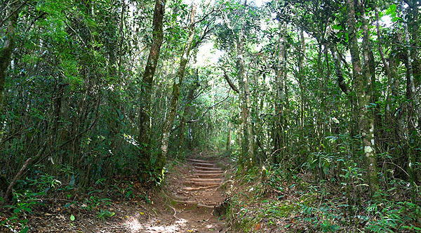 Trilha da Pedra do Bauzinho