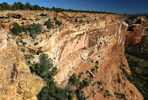 Canyon De Chelly