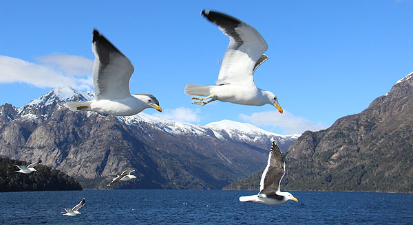 Lago Nahuel Huapi