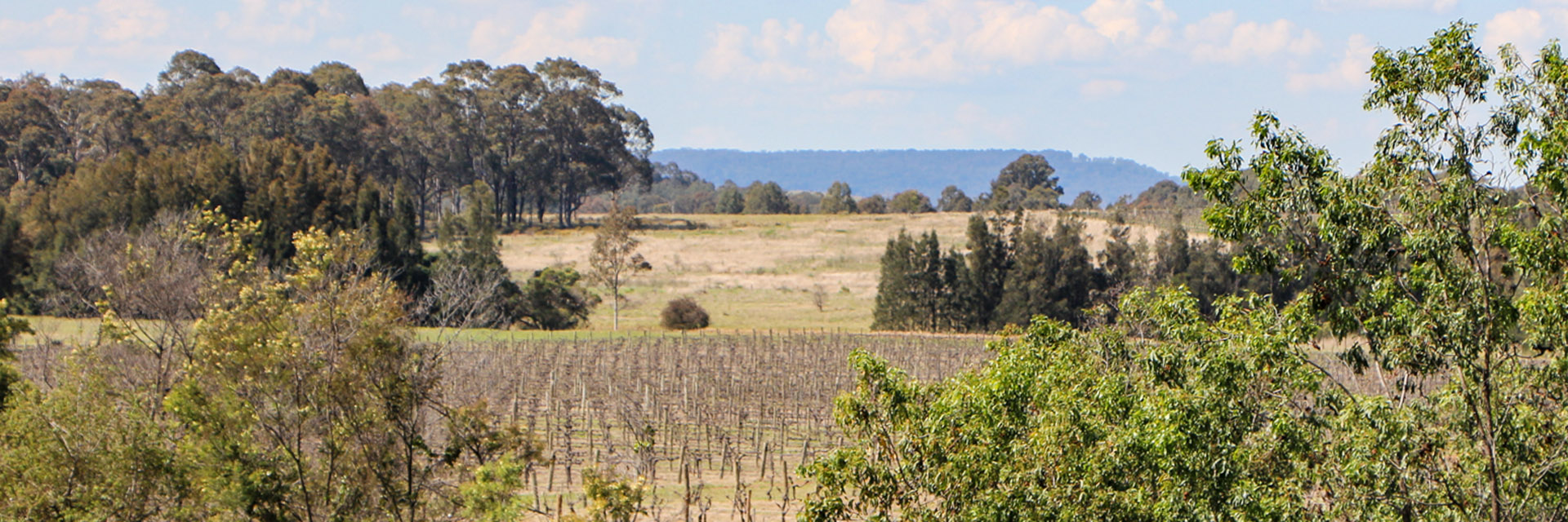 Hunter Valley