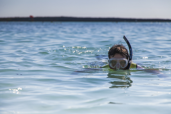 Snorkel em Castaway Cay