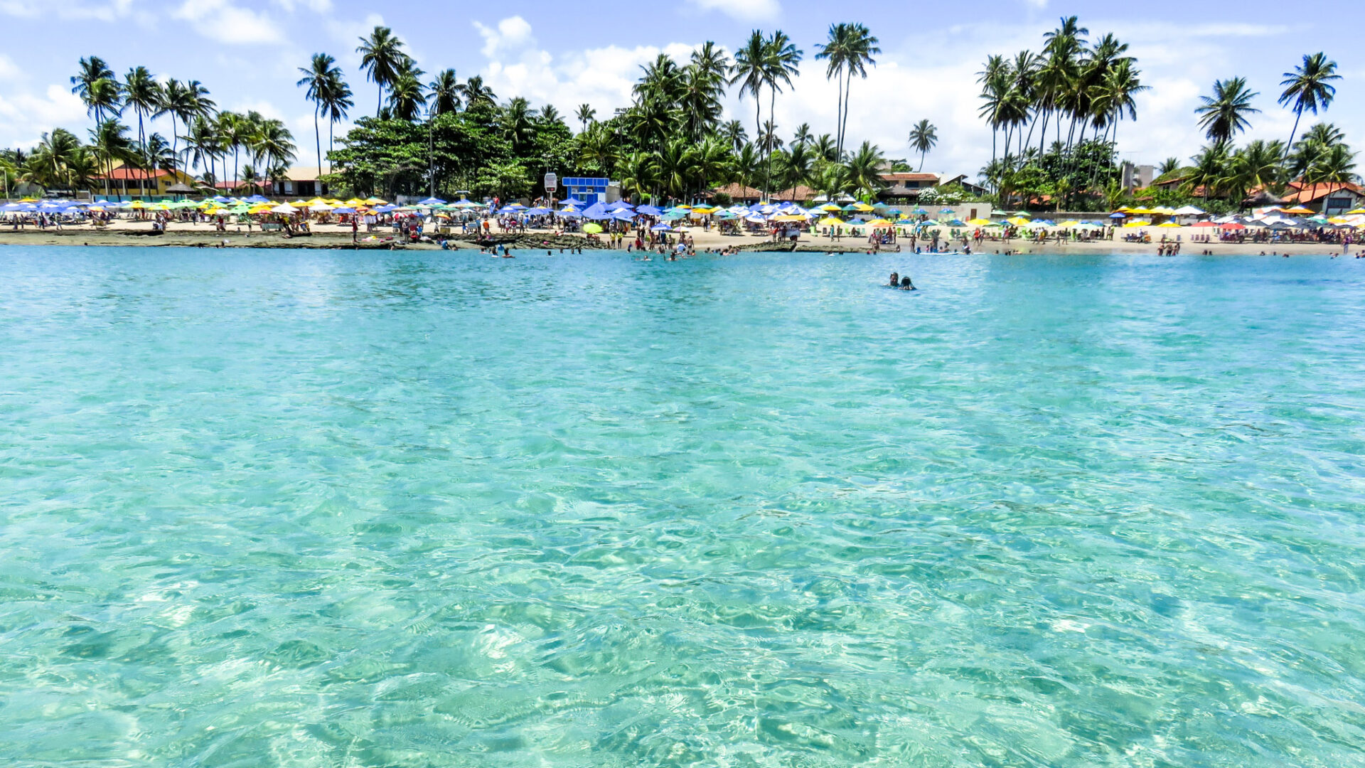 Bate-volta de Recife a Porto de Galinhas