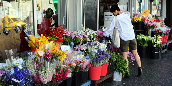 Newtown: roteiro diferente em Sydney