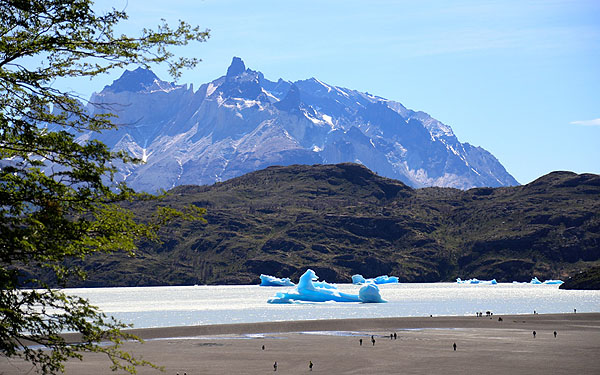 Passeio ao Glaciar Grey