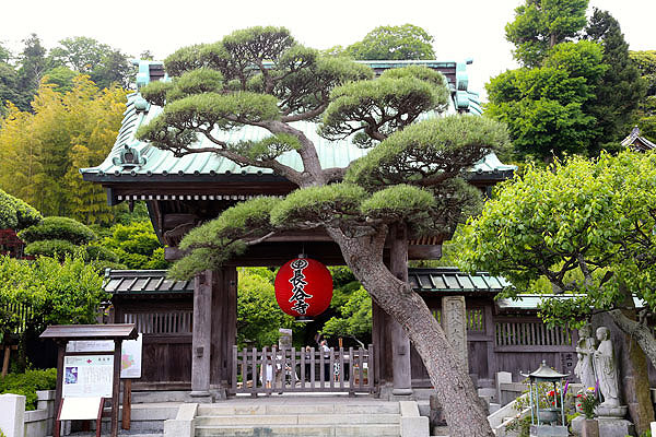 Kamakura-Entrada-Hasedera-toquio-relato