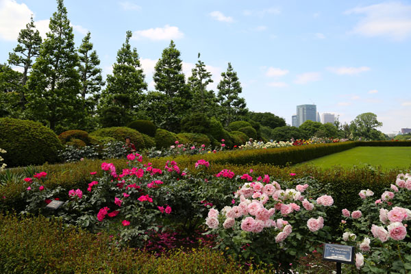 Tóquio zen Shinjuku-Gyoen-jardim-frances-toquio-relato