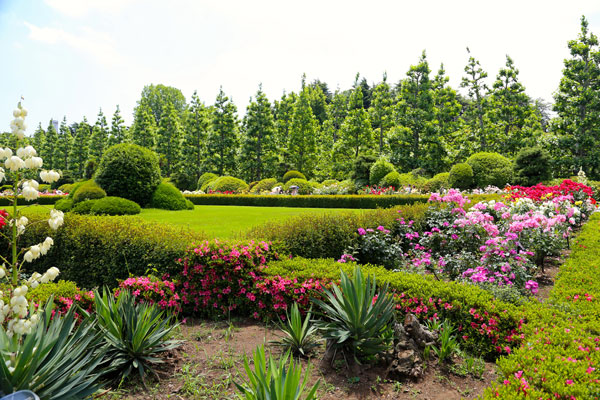 Tóquio zen Shinjuku-gyoen-Jardim-frances-de-rosas-relato-toquio