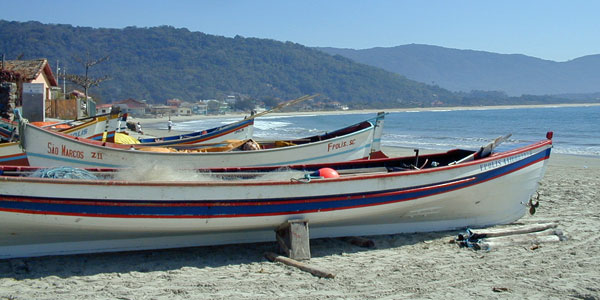 O que fazer Florianópolis: Armação