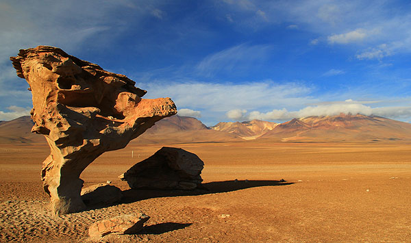 salar de uyuni arbol de piedra