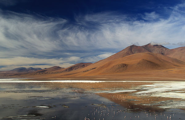 salar de uyuni laguna colorada